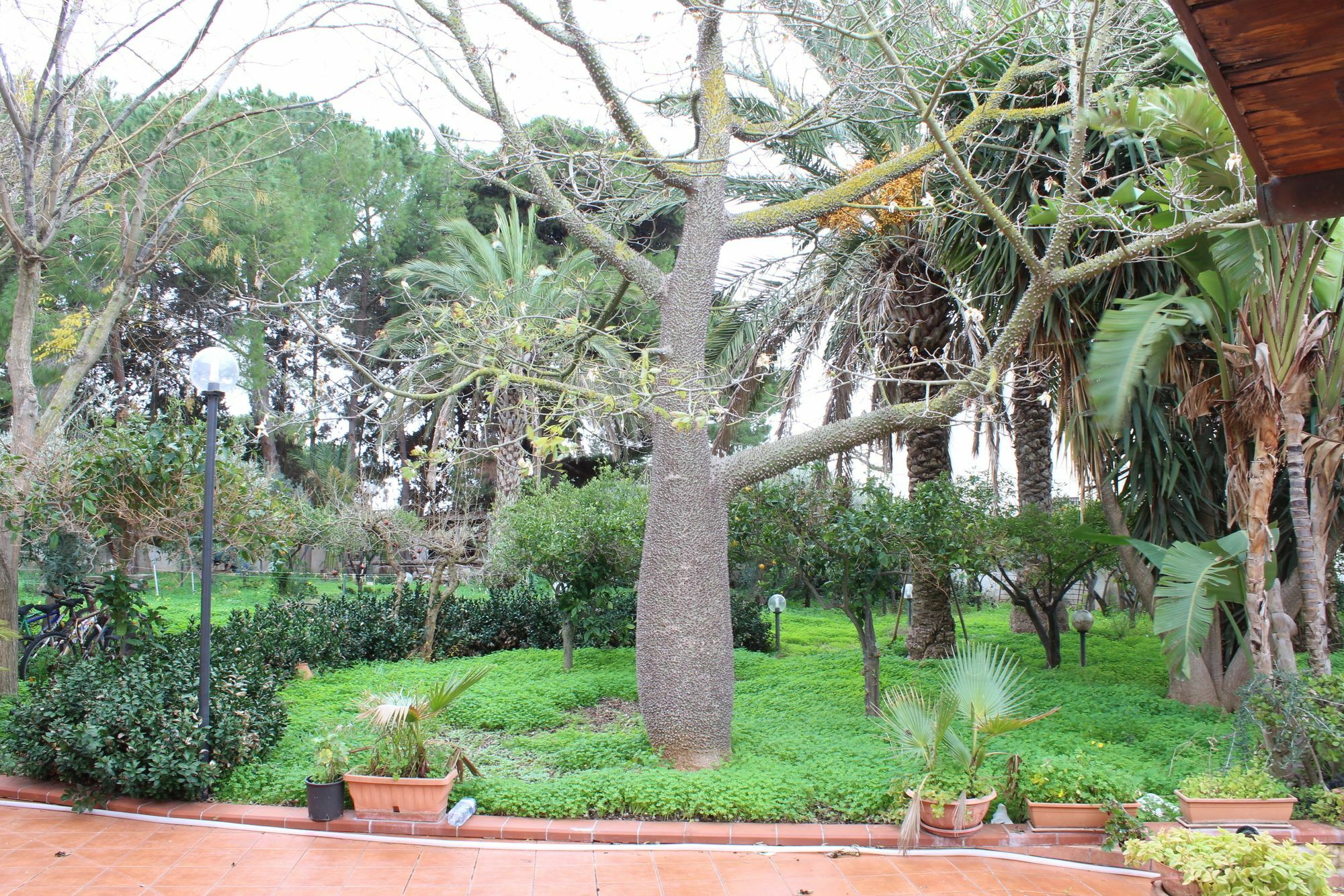 Villa Delle Nifee Мадзара дел Вало Екстериор снимка